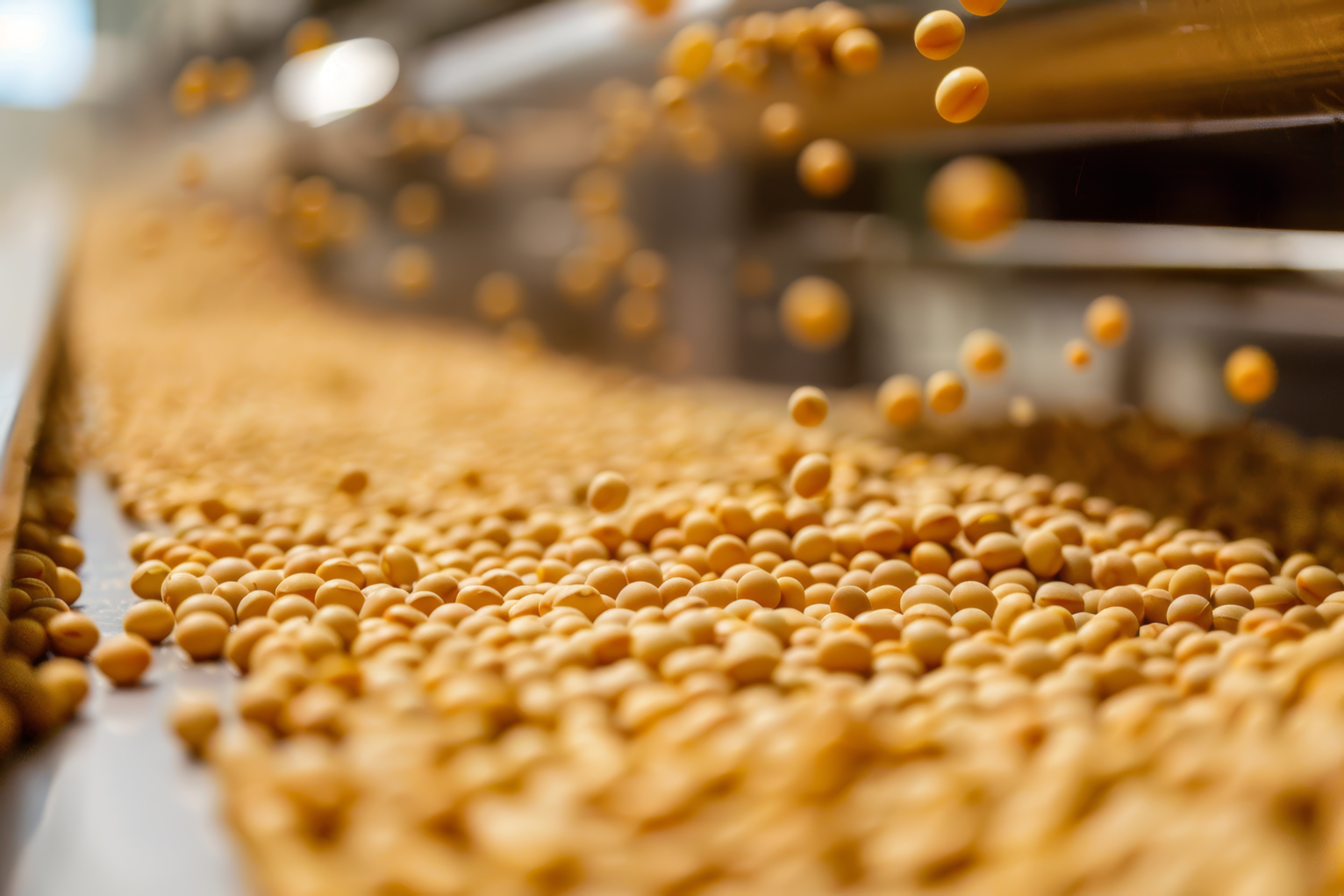 tofu beans